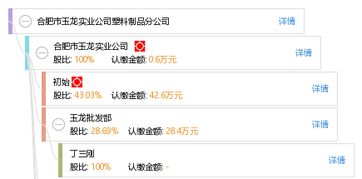 从传统制造到现代转型 合肥玉龙与北城实业的双向突围